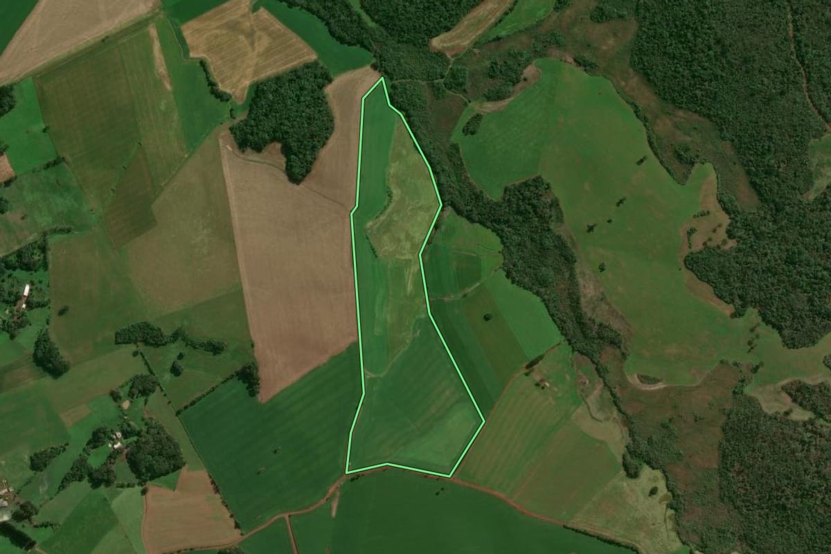 Imagem de satélite do imóvel rural em Santo Expedito do Sul (RS), com o contorno declarado no CAR desenhado por cima.
