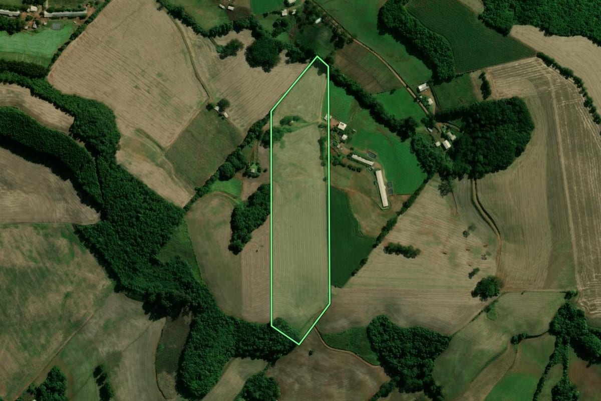 Imagem de satélite do imóvel rural em Santo Expedito do Sul (RS), com o contorno declarado no CAR desenhado por cima.