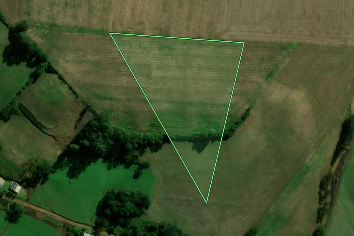 Imagem de satélite do imóvel rural em Santo Expedito do Sul (RS), com o contorno declarado no CAR desenhado por cima.