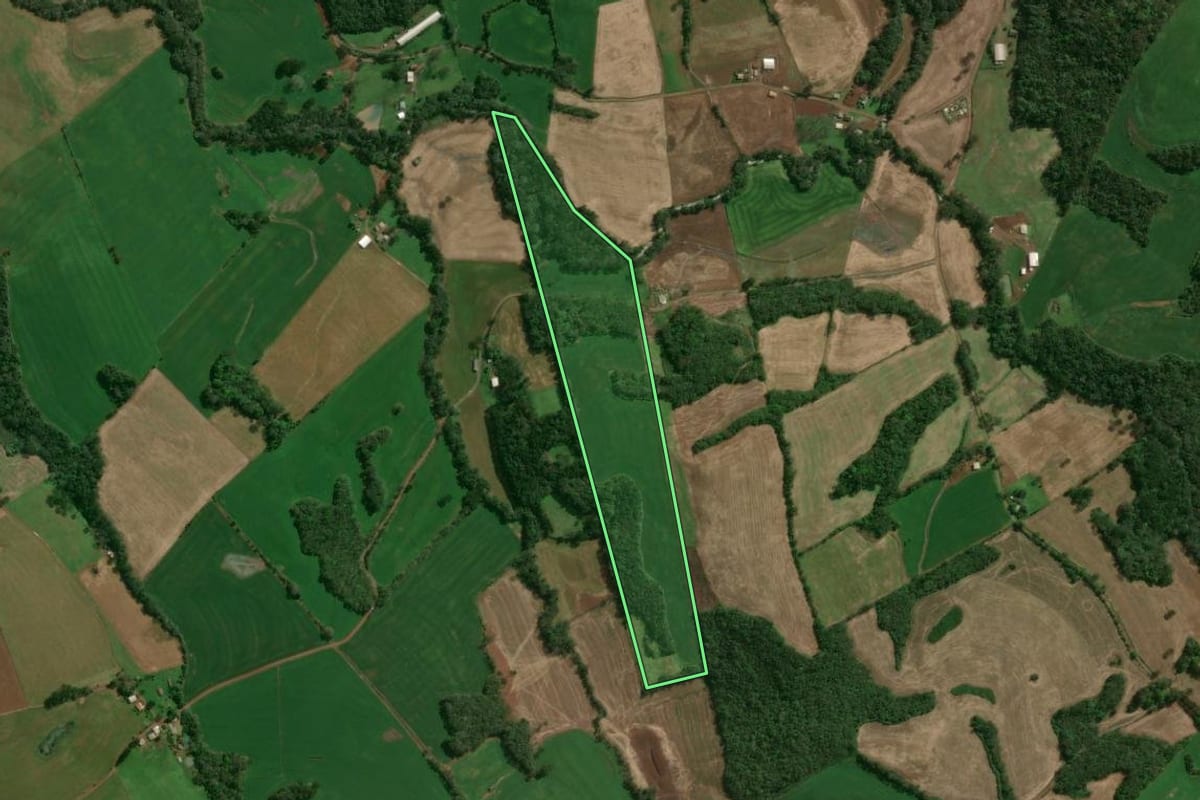 Imagem de satélite do imóvel rural em Santo Expedito do Sul (RS), com o contorno declarado no CAR desenhado por cima.