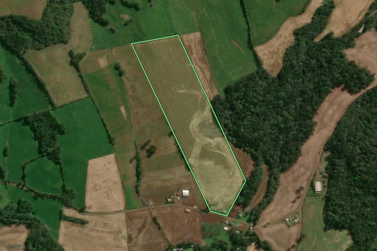 Imagem de satélite do imóvel rural em Santo Expedito do Sul (RS), com o contorno declarado no CAR desenhado por cima.