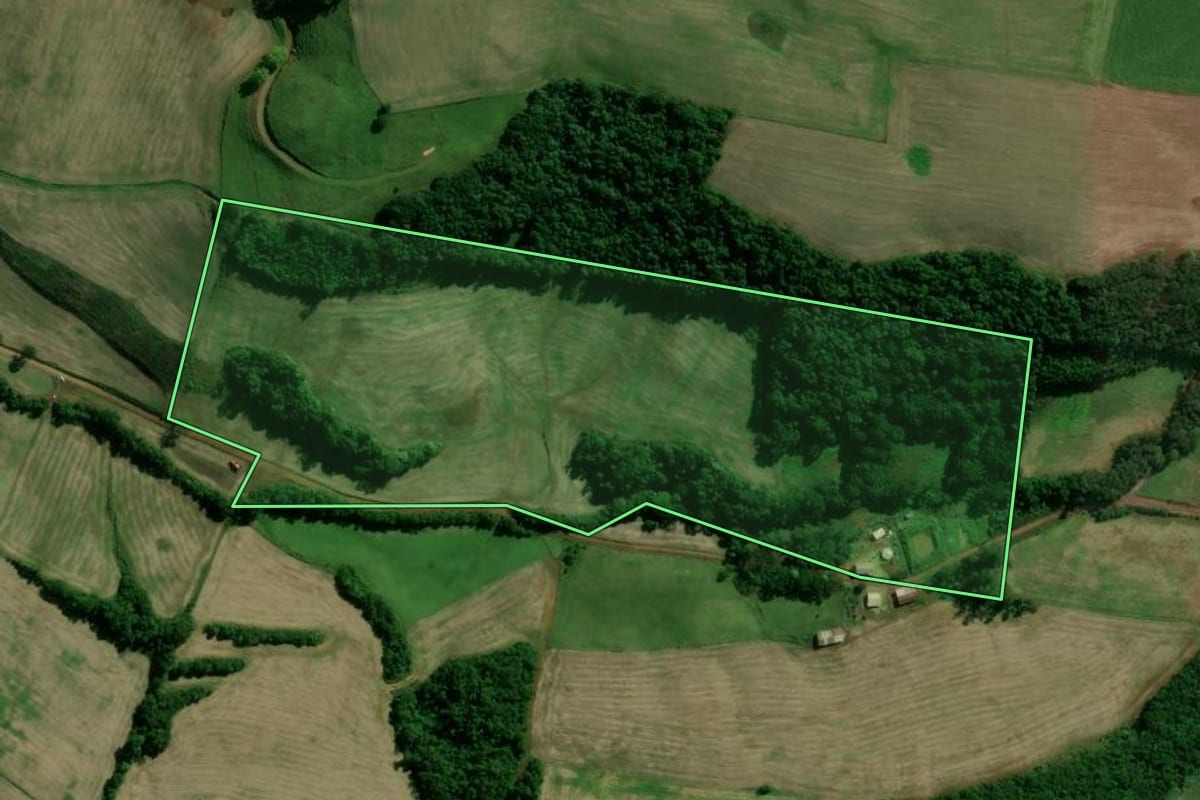 Imagem de satélite do imóvel rural em Santo Expedito do Sul (RS), com o contorno declarado no CAR desenhado por cima.