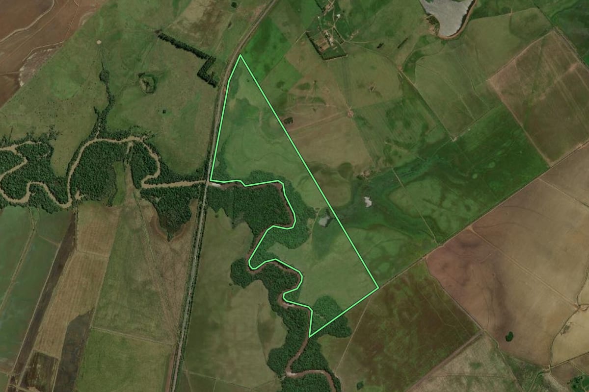 Imagem de satélite do imóvel rural em São Borja (RS), com o contorno declarado no CAR desenhado por cima.