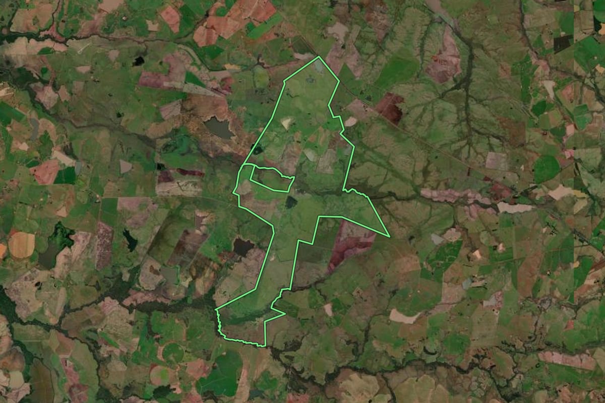 Imagem de satélite do imóvel rural em São Borja (RS), com o contorno declarado no CAR desenhado por cima.