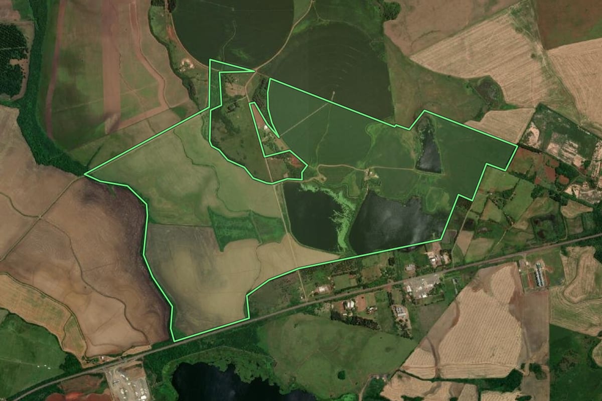 Imagem de satélite do imóvel rural em São Borja (RS), com o contorno declarado no CAR desenhado por cima.