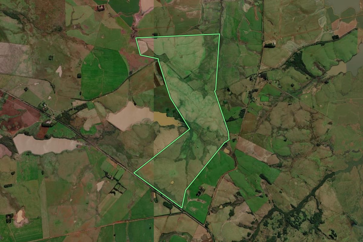 Imagem de satélite do imóvel rural em São Borja (RS), com o contorno declarado no CAR desenhado por cima.