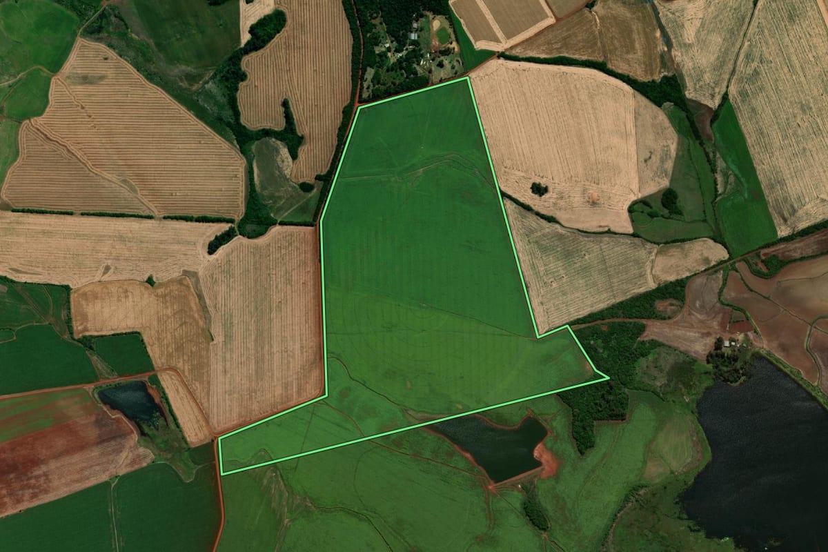 Imagem de satélite do imóvel rural em São Borja (RS), com o contorno declarado no CAR desenhado por cima.