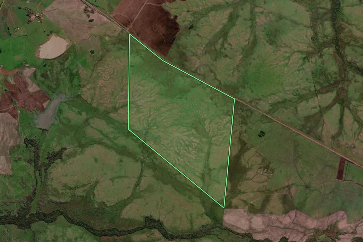 Imagem de satélite do imóvel rural em São Borja (RS), com o contorno declarado no CAR desenhado por cima.