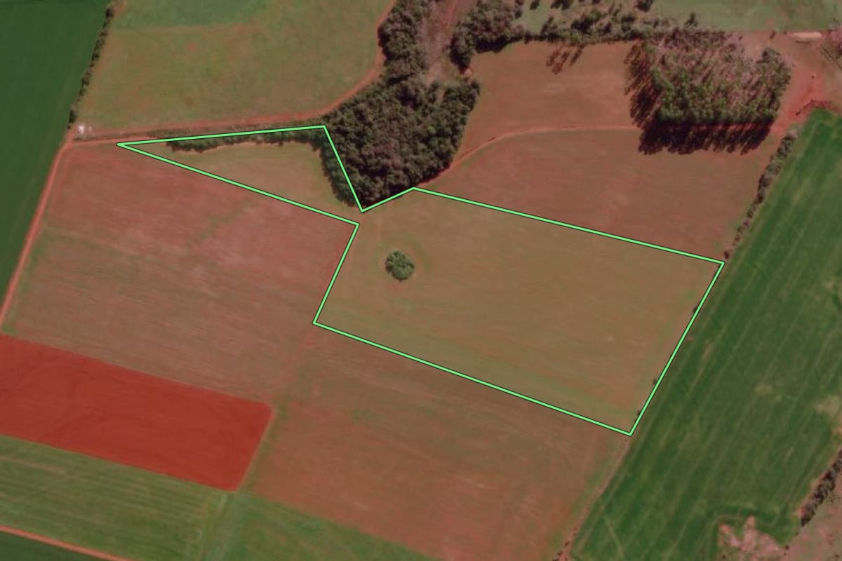 Imagem de satélite do imóvel rural em São Borja (RS), com o contorno declarado no CAR desenhado por cima.