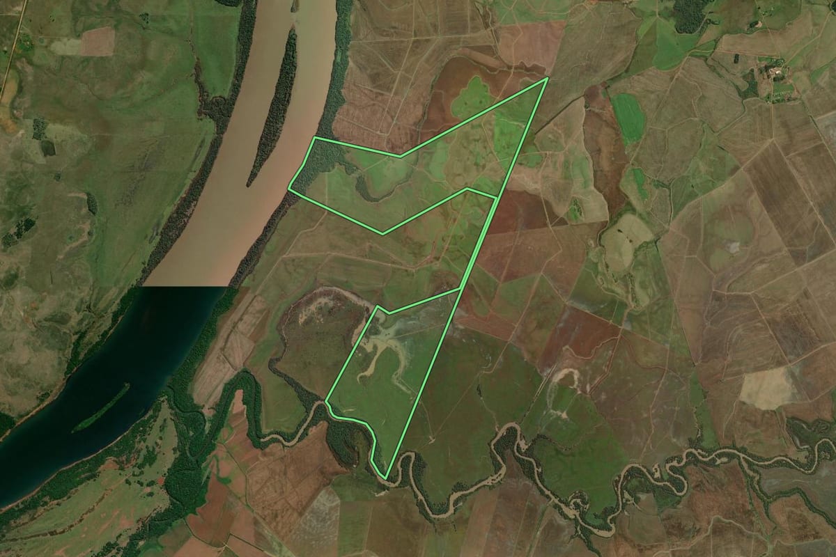 Imagem de satélite do imóvel rural em São Borja (RS), com o contorno declarado no CAR desenhado por cima.