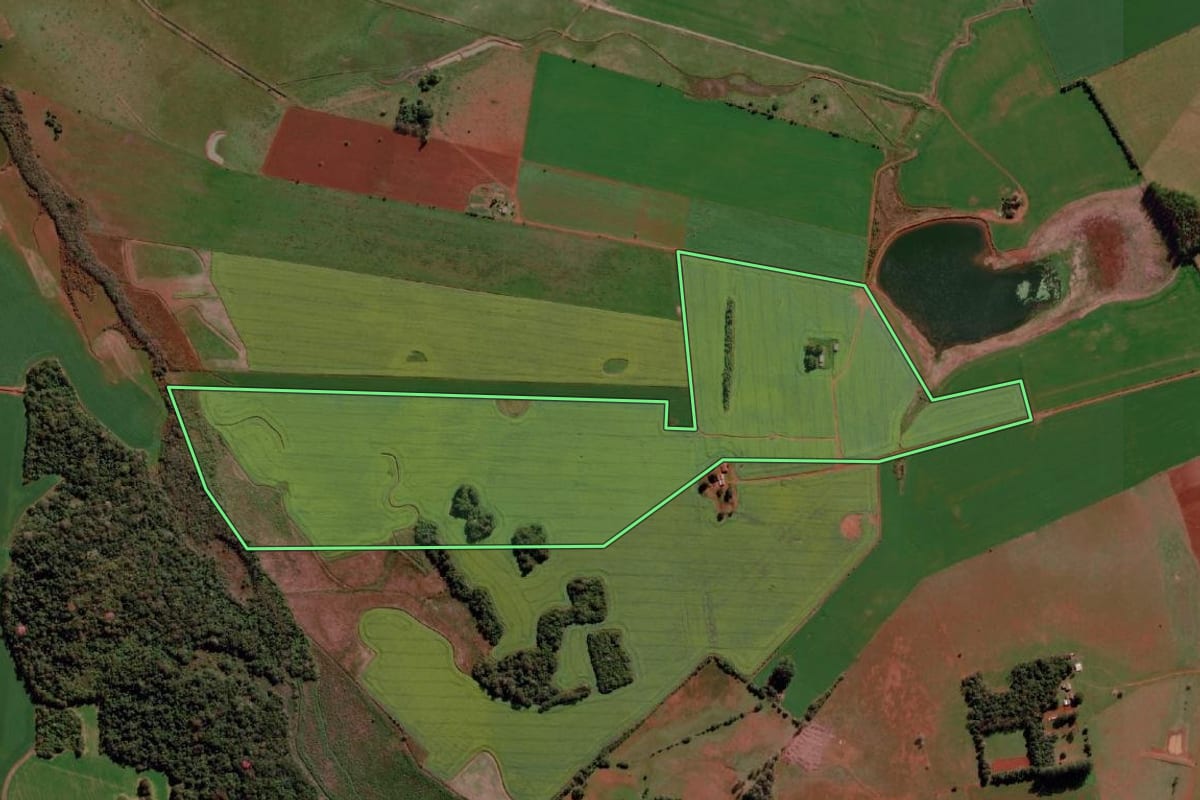 Imagem de satélite do imóvel rural em São Borja (RS), com o contorno declarado no CAR desenhado por cima.