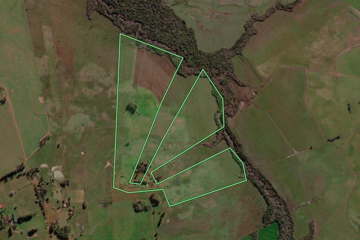 Imagem de satélite do imóvel rural em São Borja (RS), com o contorno declarado no CAR desenhado por cima.