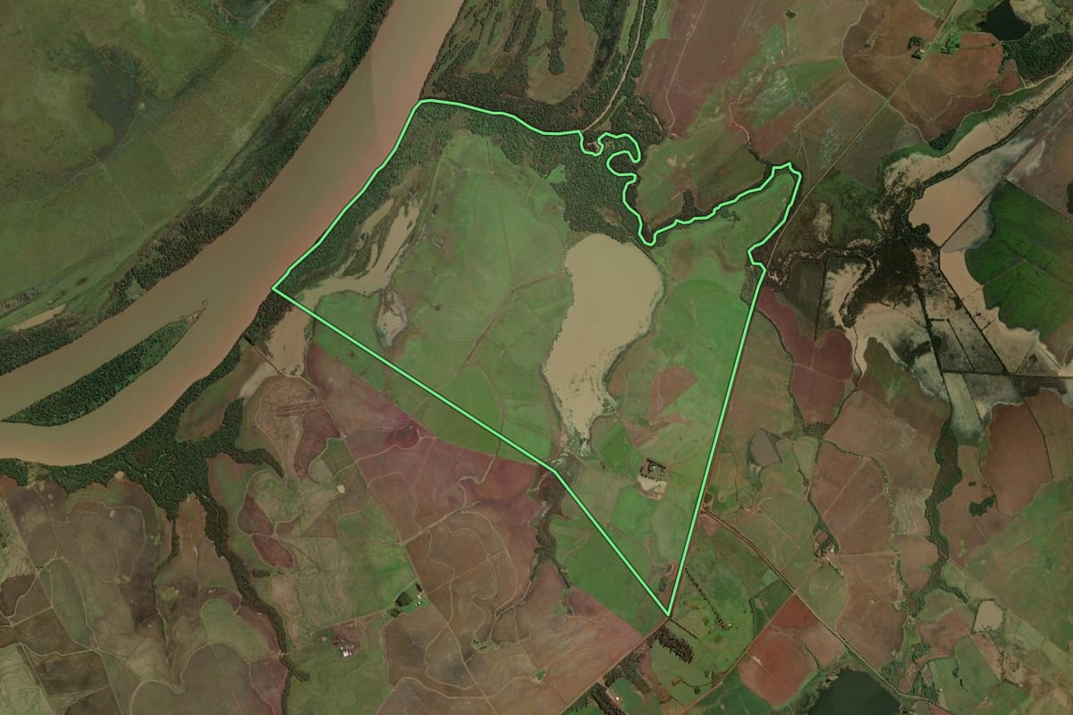 Imagem de satélite do imóvel rural em São Borja (RS), com o contorno declarado no CAR desenhado por cima.