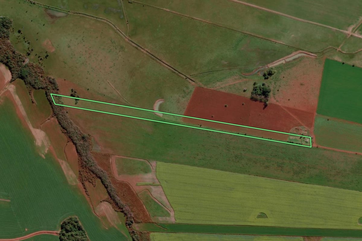 Imagem de satélite do imóvel rural em São Borja (RS), com o contorno declarado no CAR desenhado por cima.