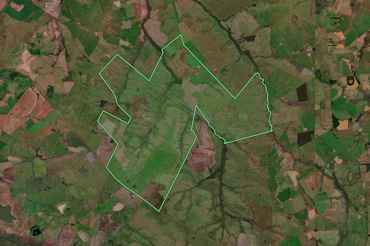 Imagem de satélite do imóvel rural em São Borja (RS), com o contorno declarado no CAR desenhado por cima.