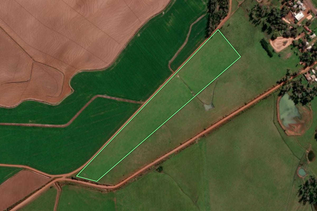 Imagem de satélite do imóvel rural em São Borja (RS), com o contorno declarado no CAR desenhado por cima.