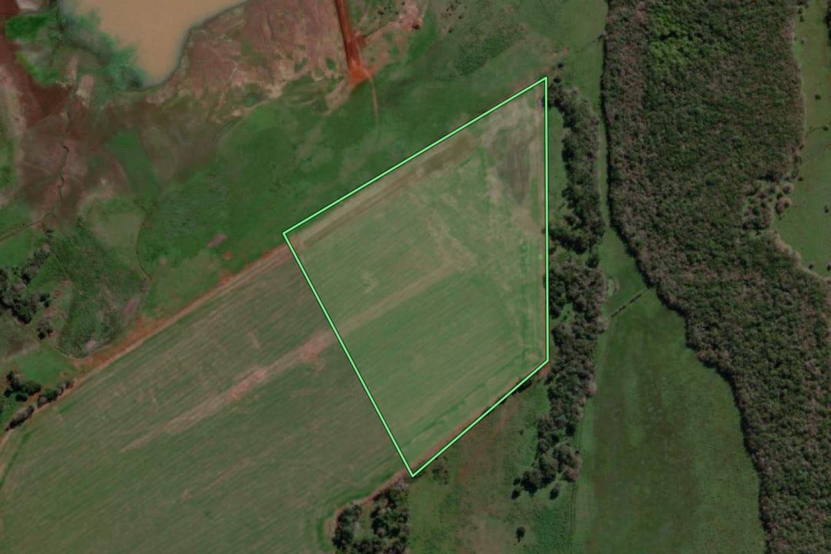 Imagem de satélite do imóvel rural em São Borja (RS), com o contorno declarado no CAR desenhado por cima.