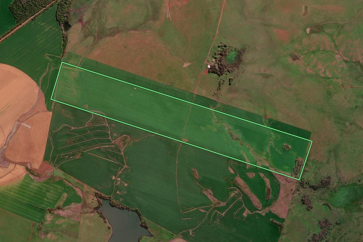 Imagem de satélite do imóvel rural em São Borja (RS), com o contorno declarado no CAR desenhado por cima.