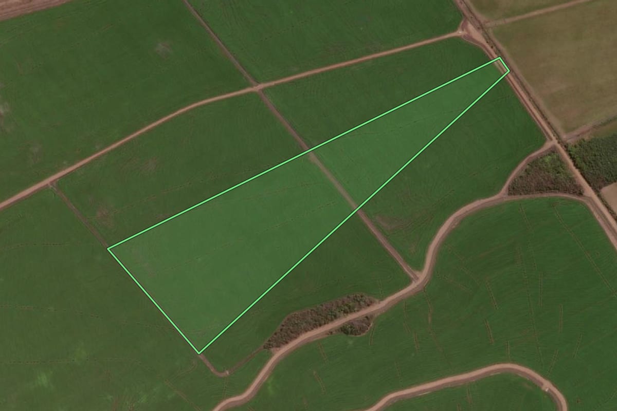 Imagem de satélite do imóvel rural em São Borja (RS), com o contorno declarado no CAR desenhado por cima.