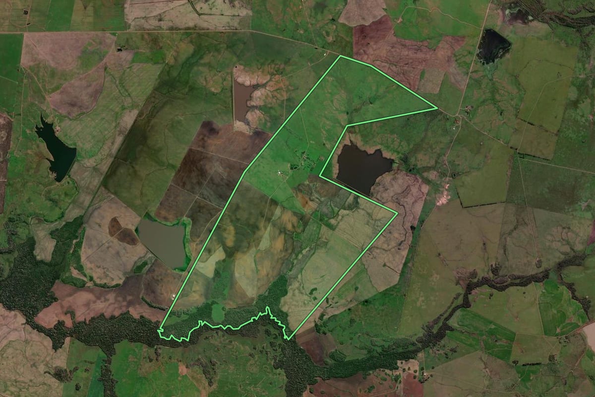 Imagem de satélite do imóvel rural em São Borja (RS), com o contorno declarado no CAR desenhado por cima.