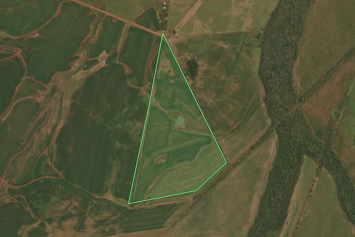 Imagem de satélite do imóvel rural em São Borja (RS), com o contorno declarado no CAR desenhado por cima.