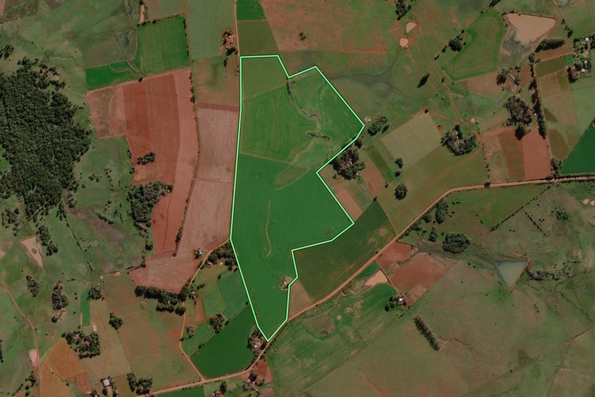Imagem de satélite do imóvel rural em São Borja (RS), com o contorno declarado no CAR desenhado por cima.