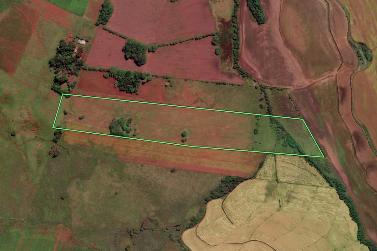 Imagem de satélite do imóvel rural em São Borja (RS), com o contorno declarado no CAR desenhado por cima.