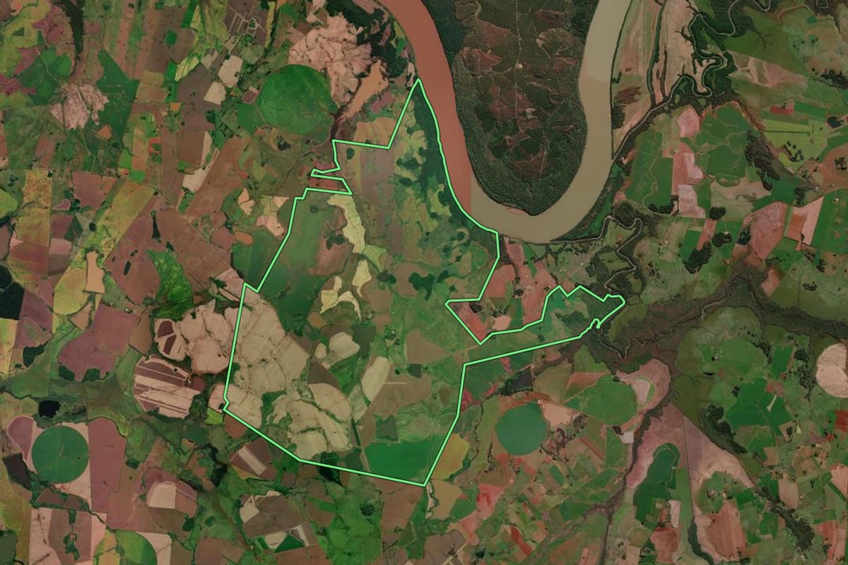 Imagem de satélite do imóvel rural em São Borja (RS), com o contorno declarado no CAR desenhado por cima.