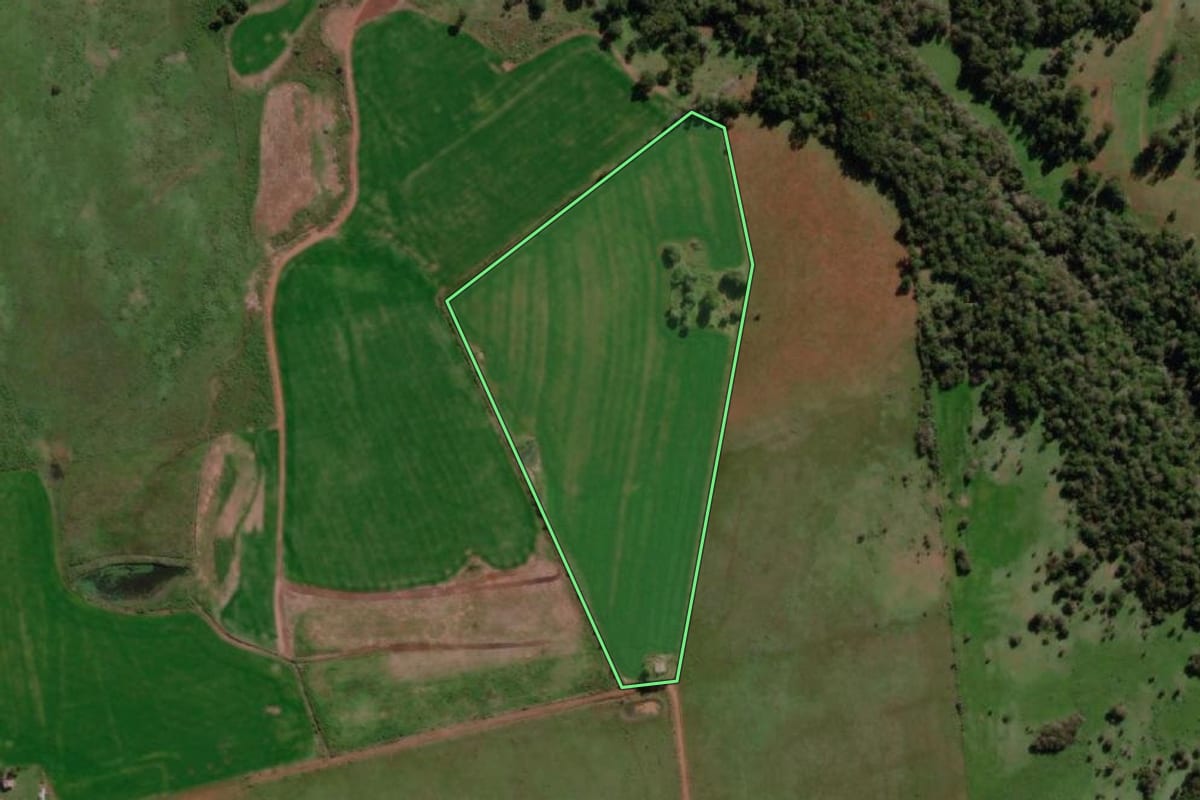 Imagem de satélite do imóvel rural em São Borja (RS), com o contorno declarado no CAR desenhado por cima.