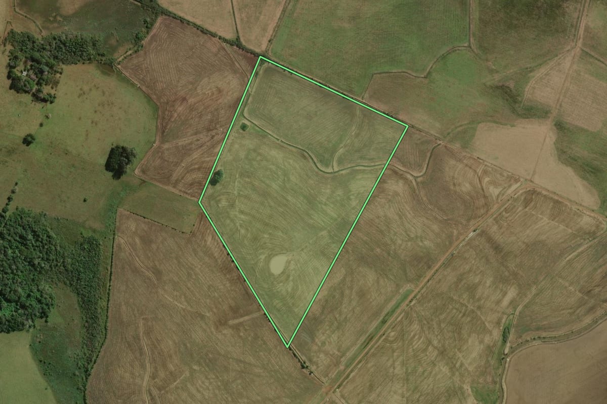 Imagem de satélite do imóvel rural em São Borja (RS), com o contorno declarado no CAR desenhado por cima.
