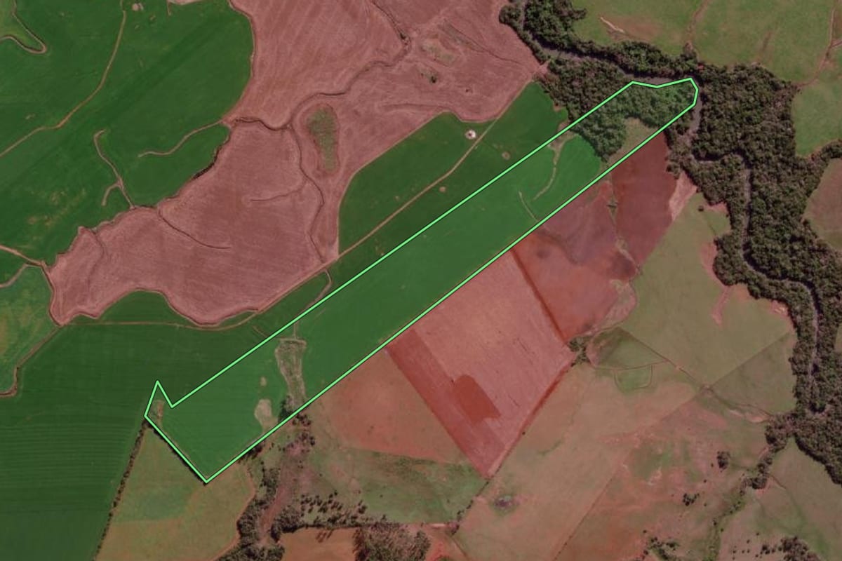 Imagem de satélite do imóvel rural em São Borja (RS), com o contorno declarado no CAR desenhado por cima.