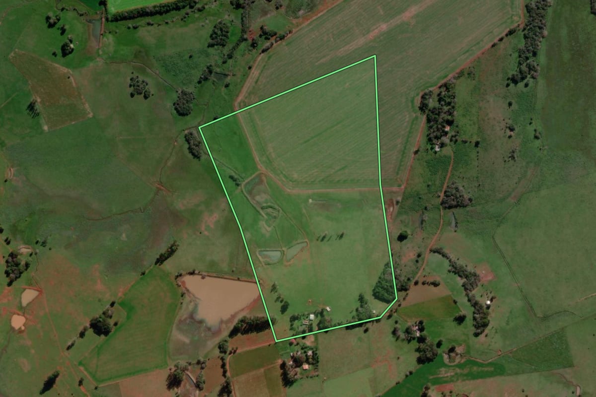 Imagem de satélite do imóvel rural em São Borja (RS), com o contorno declarado no CAR desenhado por cima.