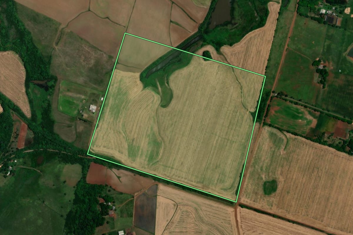 Imagem de satélite do imóvel rural em São Borja (RS), com o contorno declarado no CAR desenhado por cima.