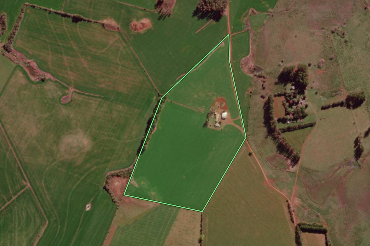 Imagem de satélite do imóvel rural em São Borja (RS), com o contorno declarado no CAR desenhado por cima.
