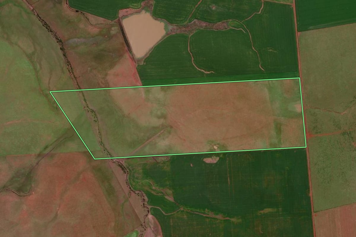 Imagem de satélite do imóvel rural em São Borja (RS), com o contorno declarado no CAR desenhado por cima.