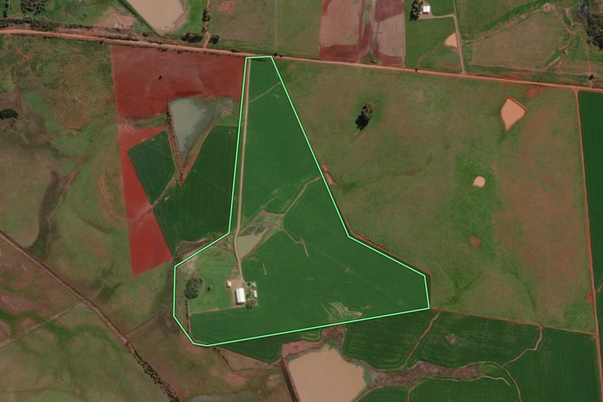 Imagem de satélite do imóvel rural em São Borja (RS), com o contorno declarado no CAR desenhado por cima.
