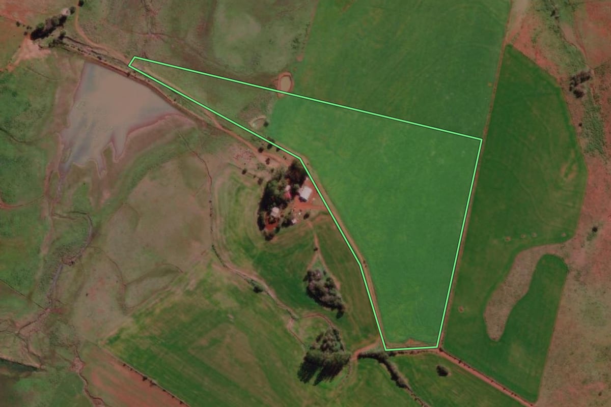 Imagem de satélite do imóvel rural em São Borja (RS), com o contorno declarado no CAR desenhado por cima.