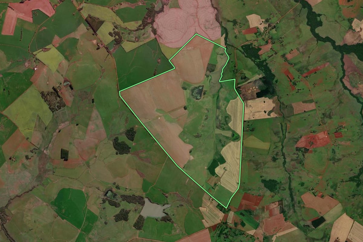 Imagem de satélite do imóvel rural em São Borja (RS), com o contorno declarado no CAR desenhado por cima.