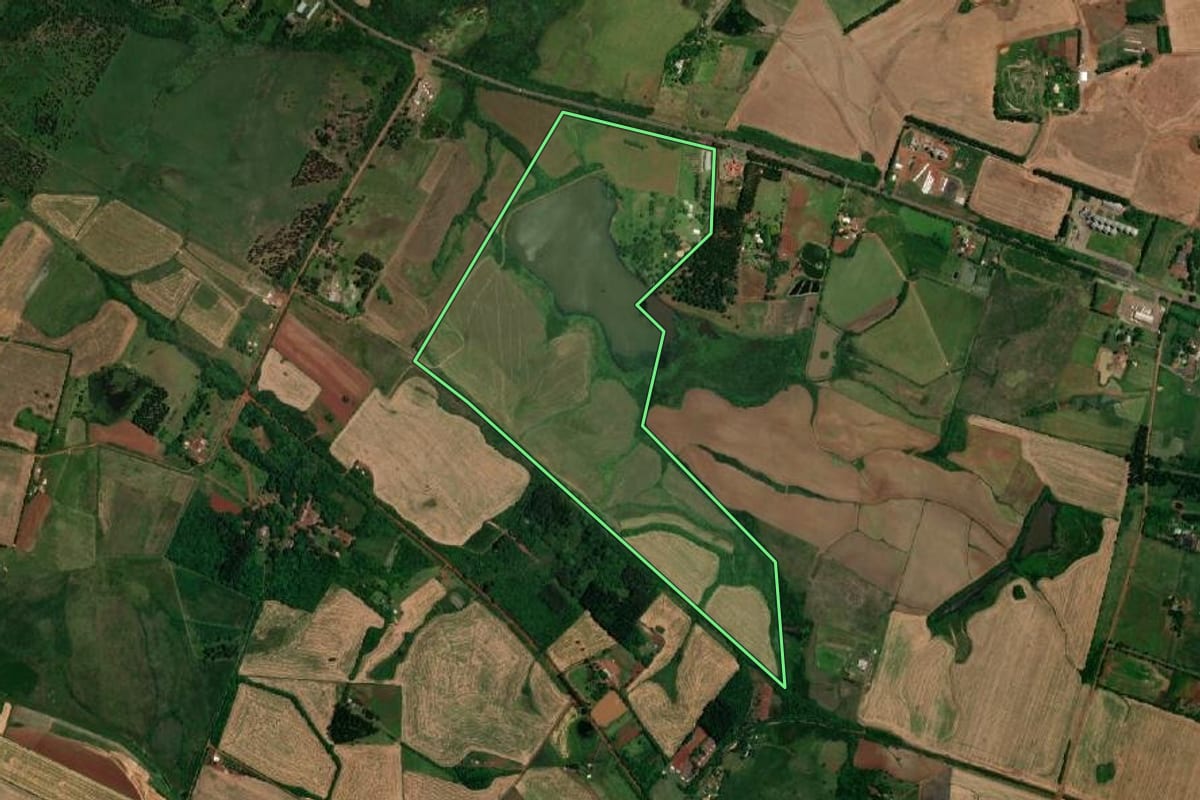Imagem de satélite do imóvel rural em São Borja (RS), com o contorno declarado no CAR desenhado por cima.