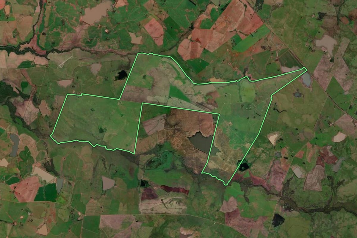 Imagem de satélite do imóvel rural em São Borja (RS), com o contorno declarado no CAR desenhado por cima.
