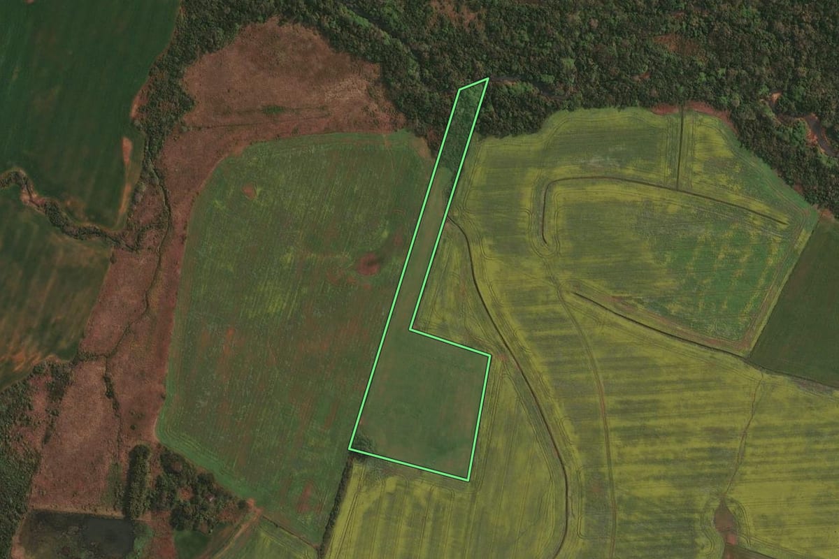 Imagem de satélite do imóvel rural em São Borja (RS), com o contorno declarado no CAR desenhado por cima.