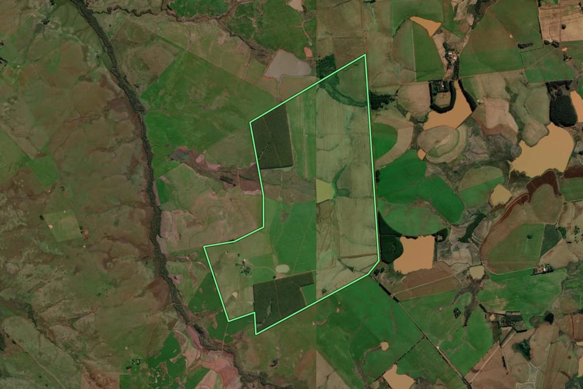 Imagem de satélite do imóvel rural em São Borja (RS), com o contorno declarado no CAR desenhado por cima.