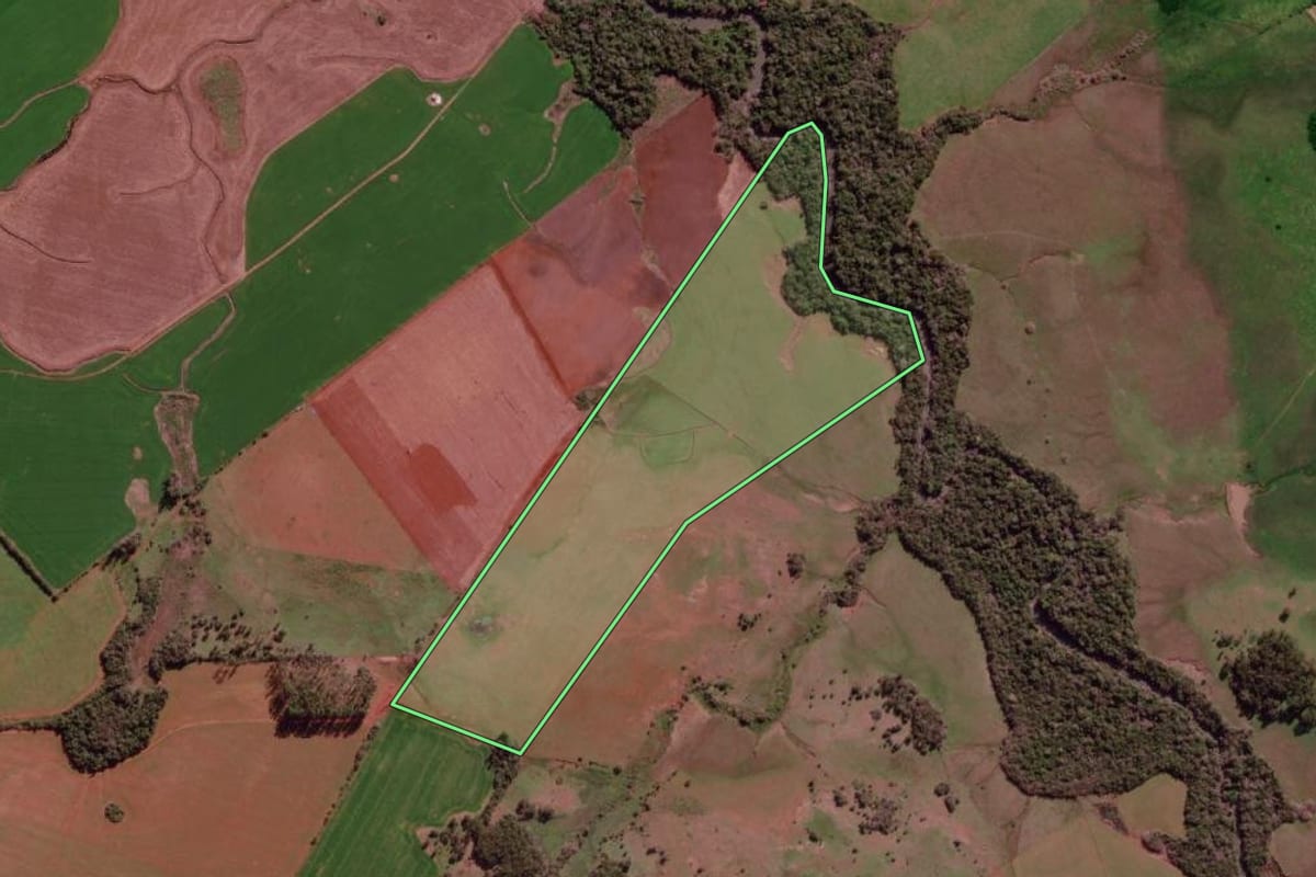 Imagem de satélite do imóvel rural em São Borja (RS), com o contorno declarado no CAR desenhado por cima.