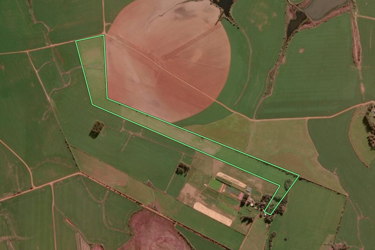 Imagem de satélite do imóvel rural em São Borja (RS), com o contorno declarado no CAR desenhado por cima.