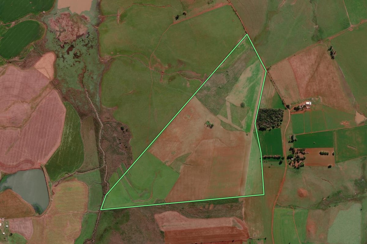 Imagem de satélite do imóvel rural em São Borja (RS), com o contorno declarado no CAR desenhado por cima.