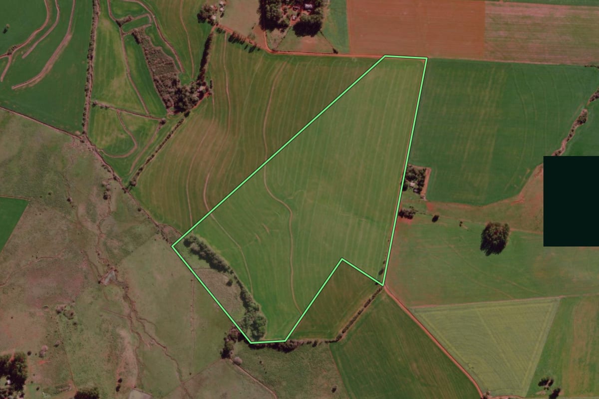 Imagem de satélite do imóvel rural em São Borja (RS), com o contorno declarado no CAR desenhado por cima.