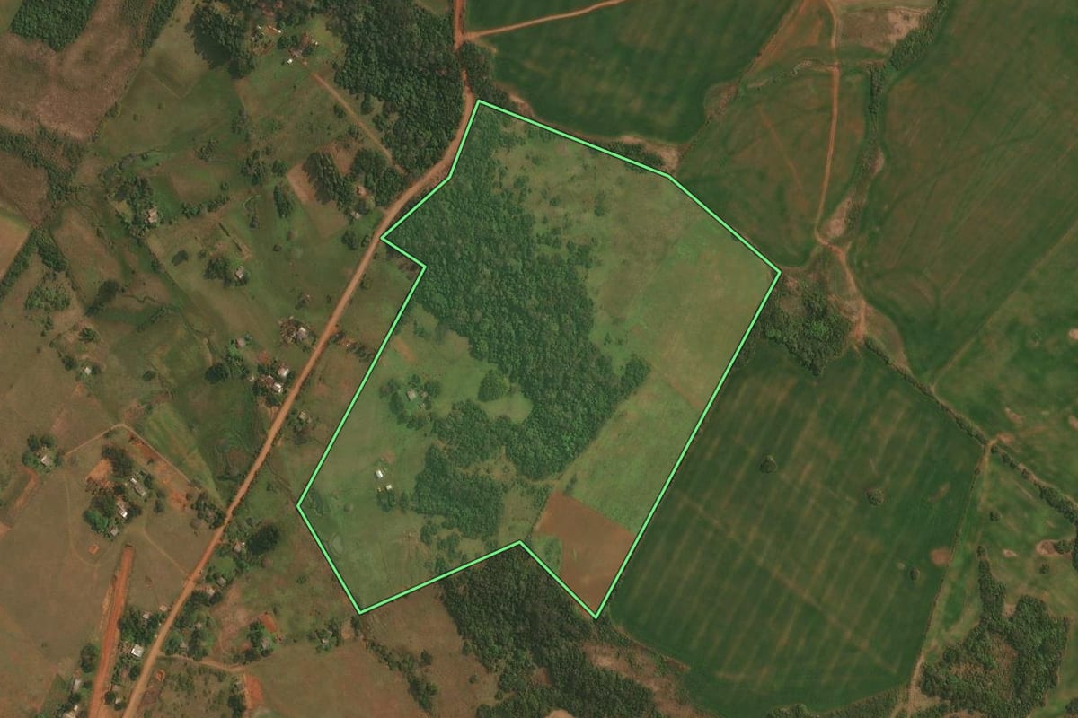 Imagem de satélite do imóvel rural em São Borja (RS), com o contorno declarado no CAR desenhado por cima.