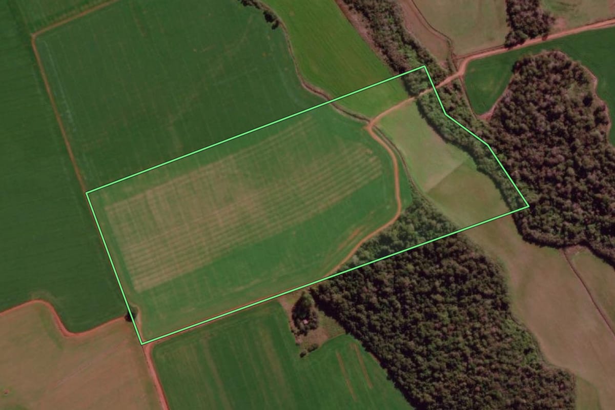 Imagem de satélite do imóvel rural em São Borja (RS), com o contorno declarado no CAR desenhado por cima.
