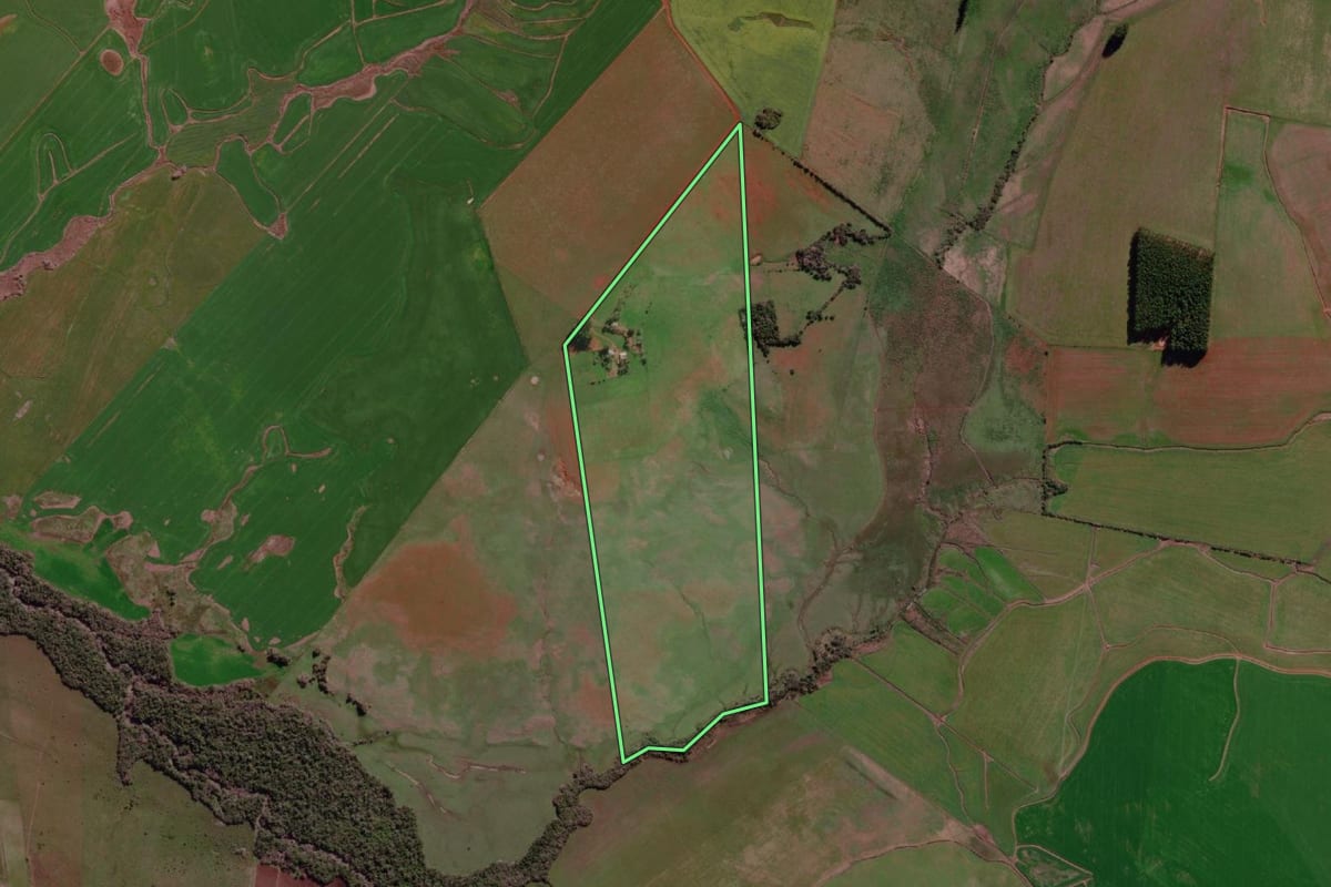Imagem de satélite do imóvel rural em São Borja (RS), com o contorno declarado no CAR desenhado por cima.