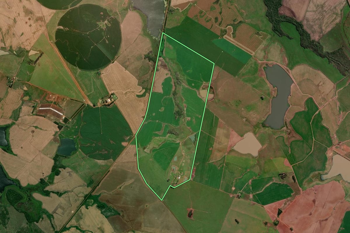 Imagem de satélite do imóvel rural em São Borja (RS), com o contorno declarado no CAR desenhado por cima.